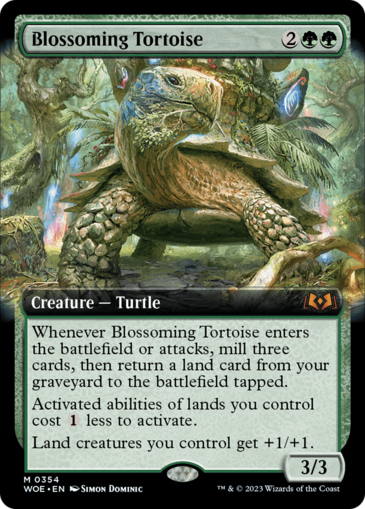 Blossoming Tortoise (Extended)