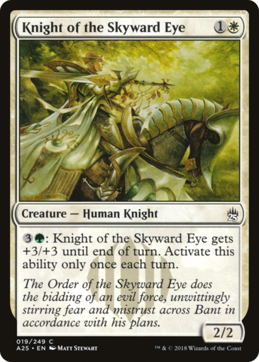 Knight of the Skyward Eye