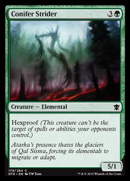 Conifer Strider