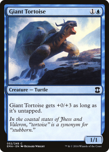 Giant Tortoise