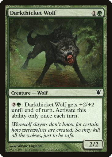 Darkthicket Wolf