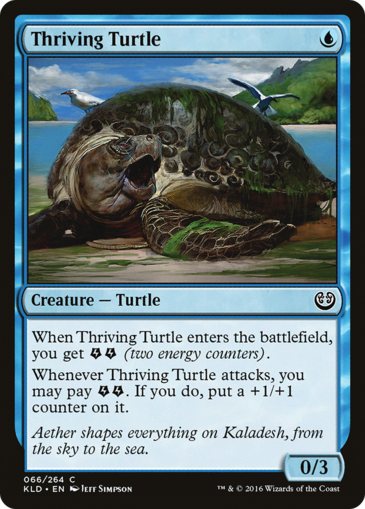 Thriving Turtle