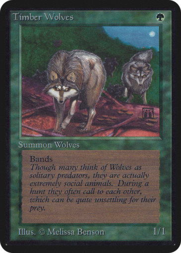 Timber Wolves