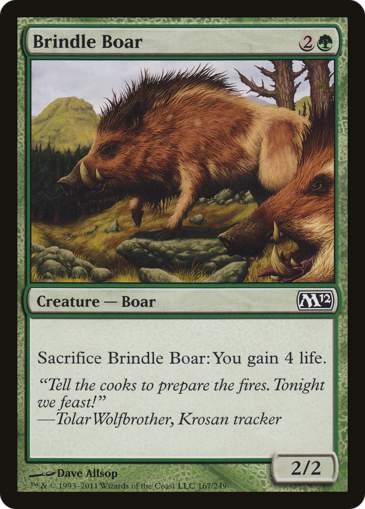 Brindle Boar