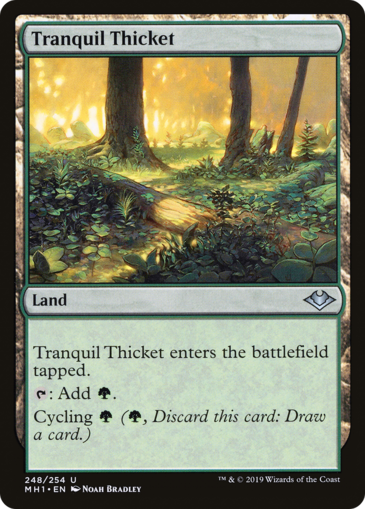 Tranquil Thicket