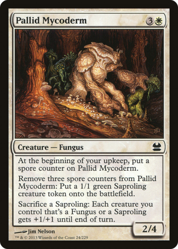 Pallid Mycoderm