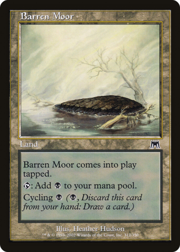 Onslaught Land MTG Einzelkarten SpielRaum Onslaught Weiß MTG Einzelkarten SpielRaum