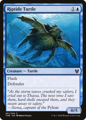 Riptide Turtle