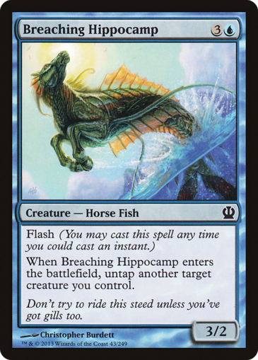 Breaching Hippocamp