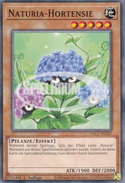 Naturia Hydrangea
