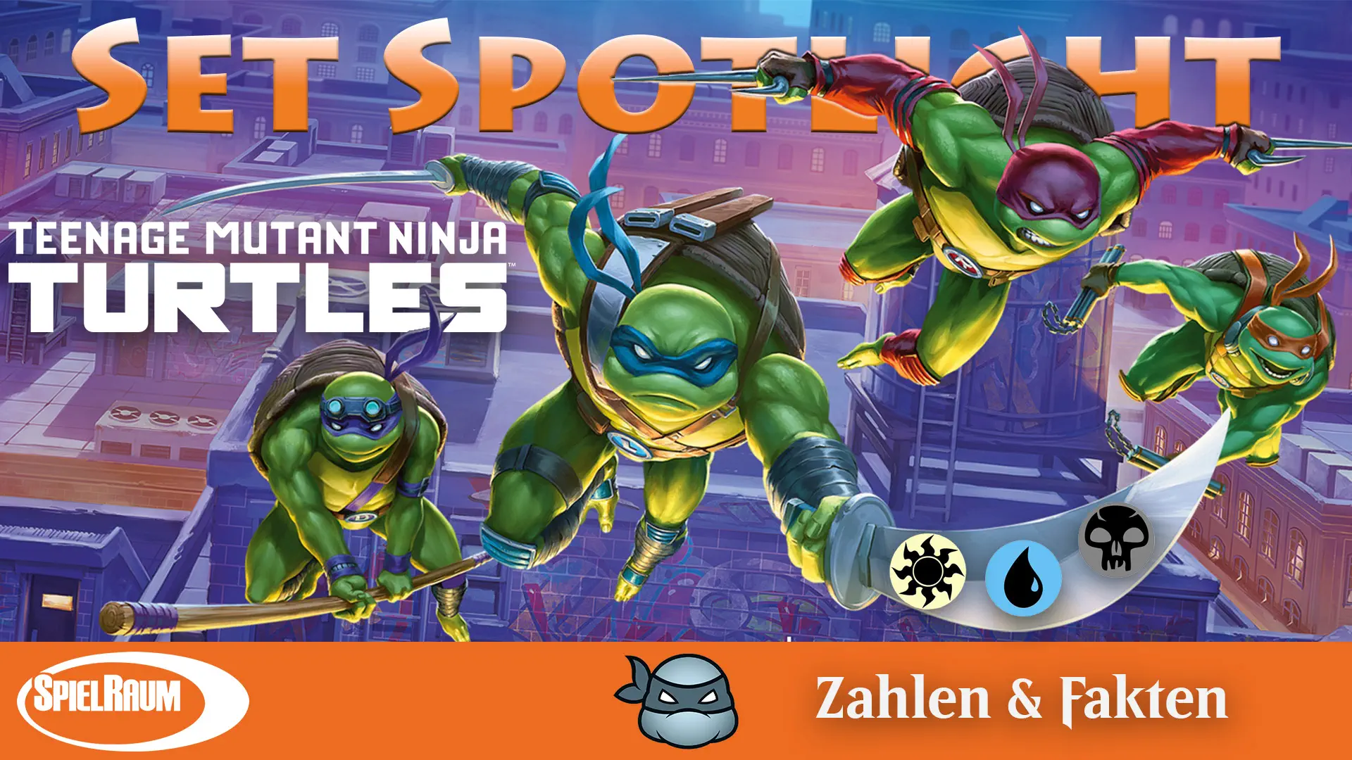 Set Spotlight - Teenage Mutant Ninja Turtles