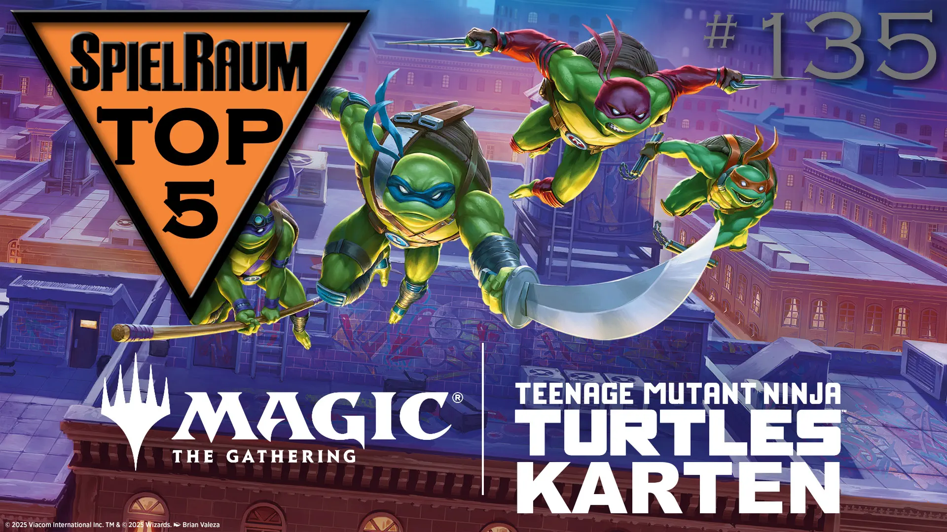 SpielRaum Top 5 - Teenage Mutant Ninja Turtles Karten