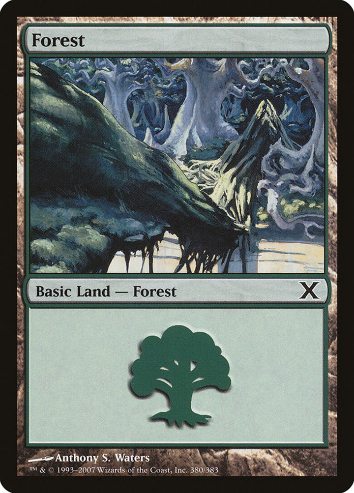 Forest (V.1)