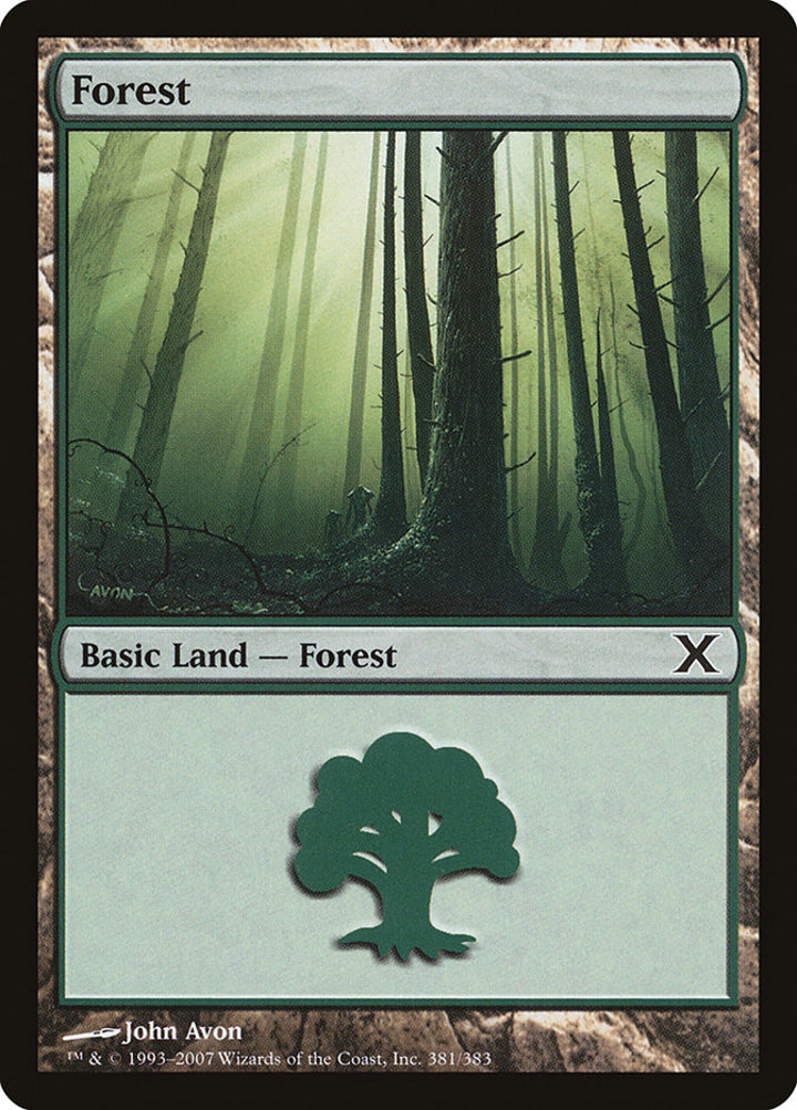 Forest (V.2)