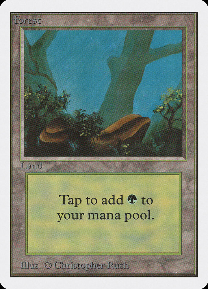Forest (V.1)