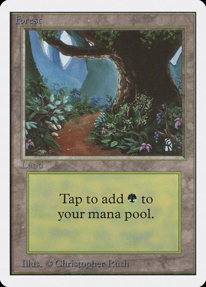 Forest (V.3)