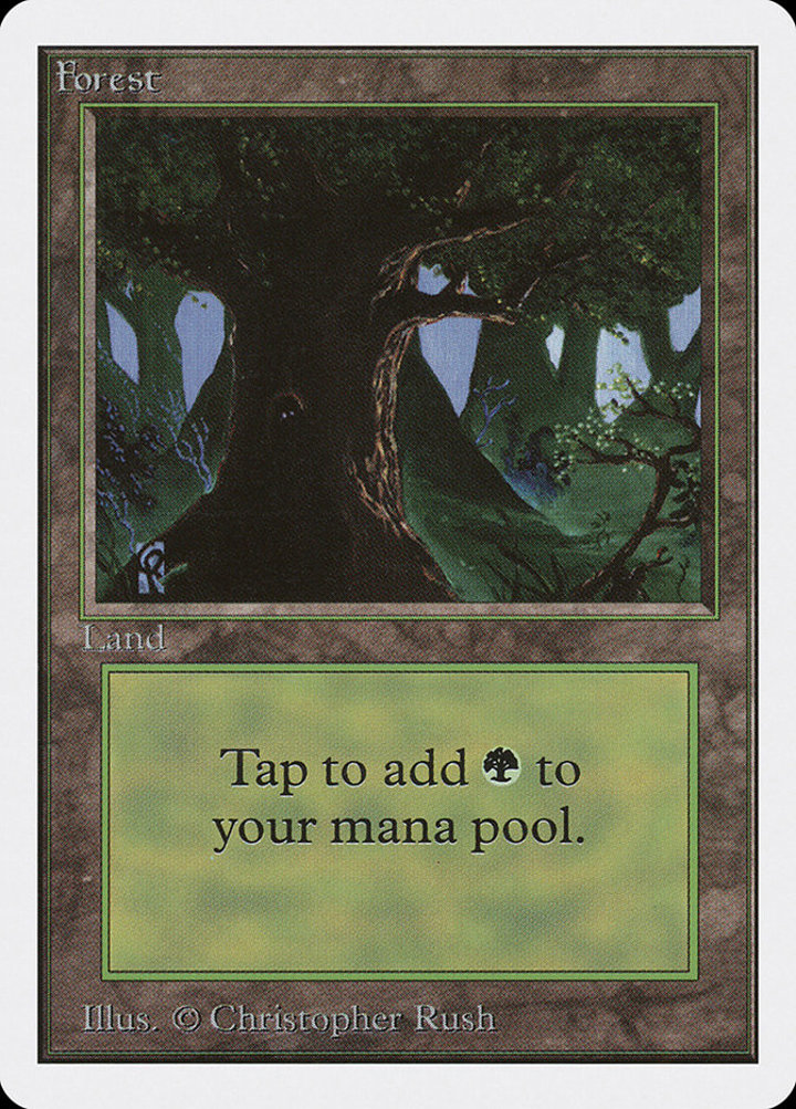 Forest (V.2)