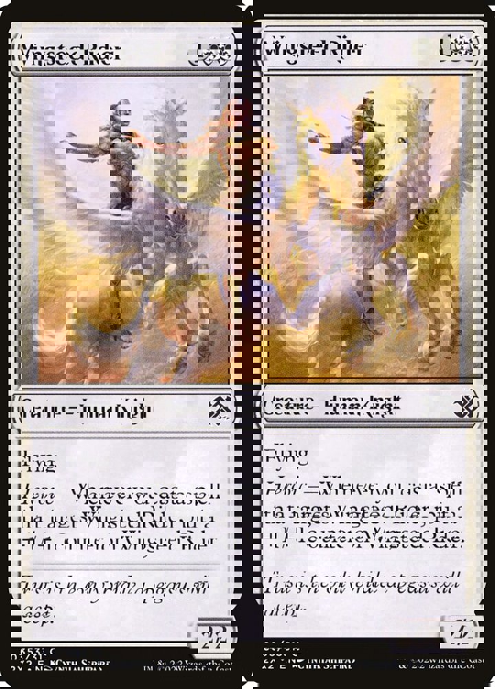 Wingsteed Rider