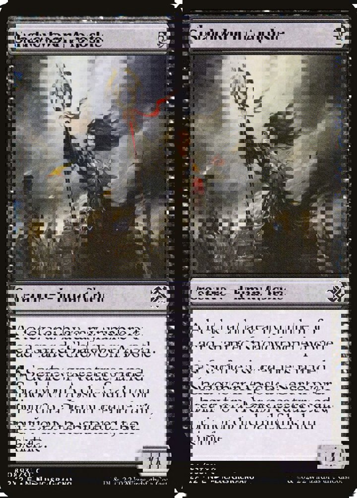Shadowborn Apostle