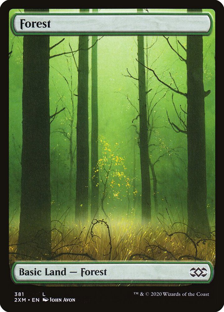 Forest (V.1)