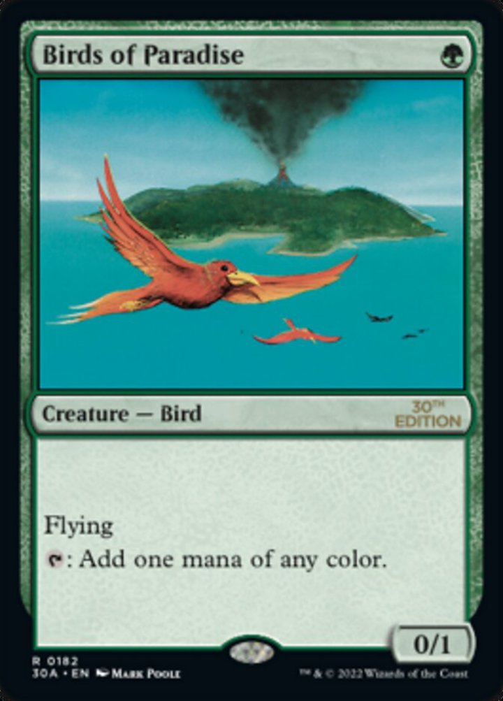 Birds of Paradise (V.1)