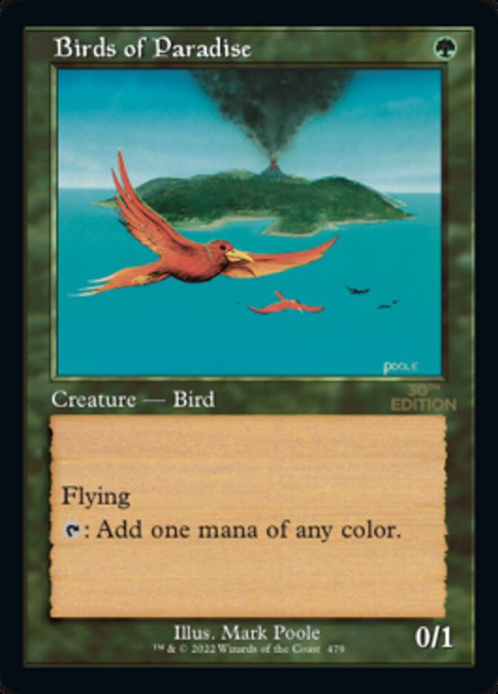 Birds of Paradise (V.2)
