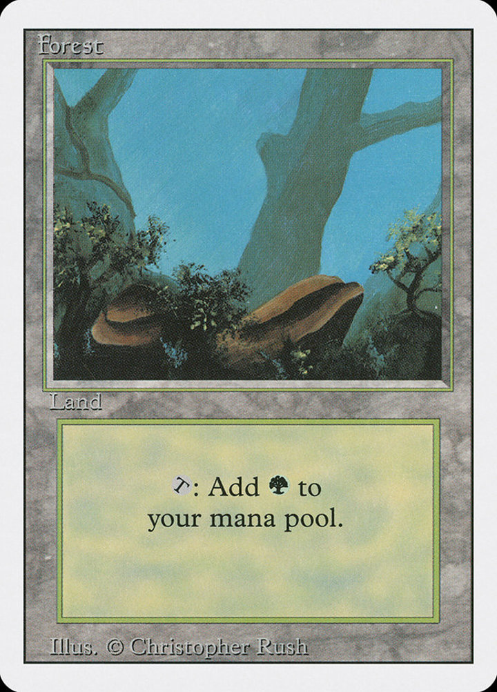 Forest (V.1)