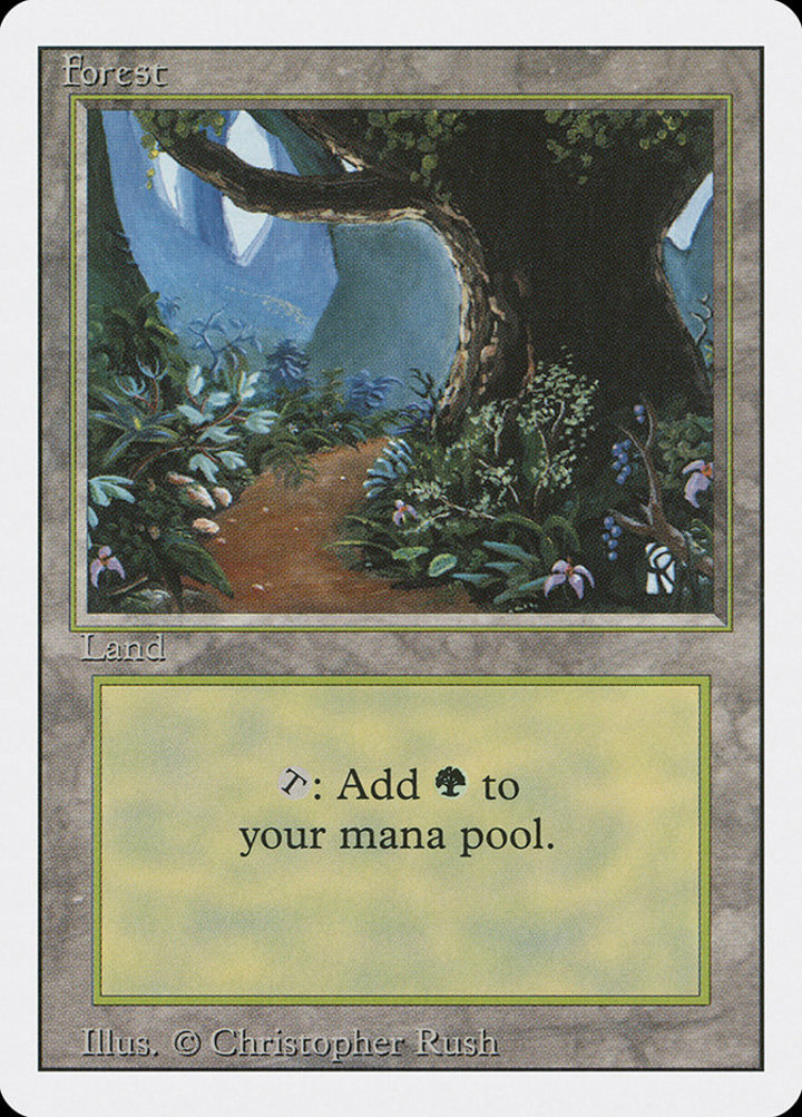 Forest (V.3)