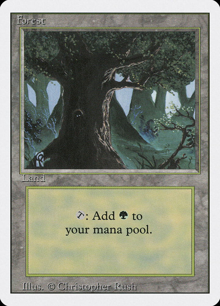 Forest (V.2)