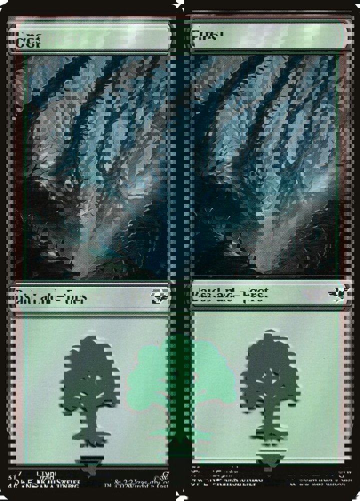 Forest