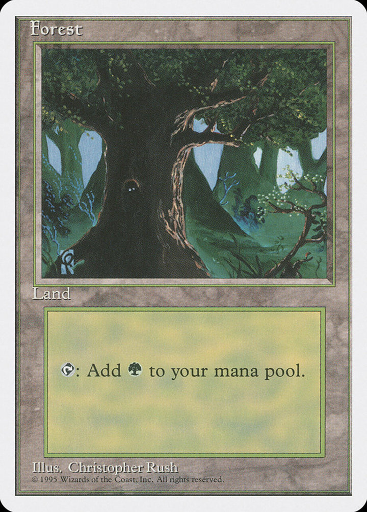 Forest (V.2)