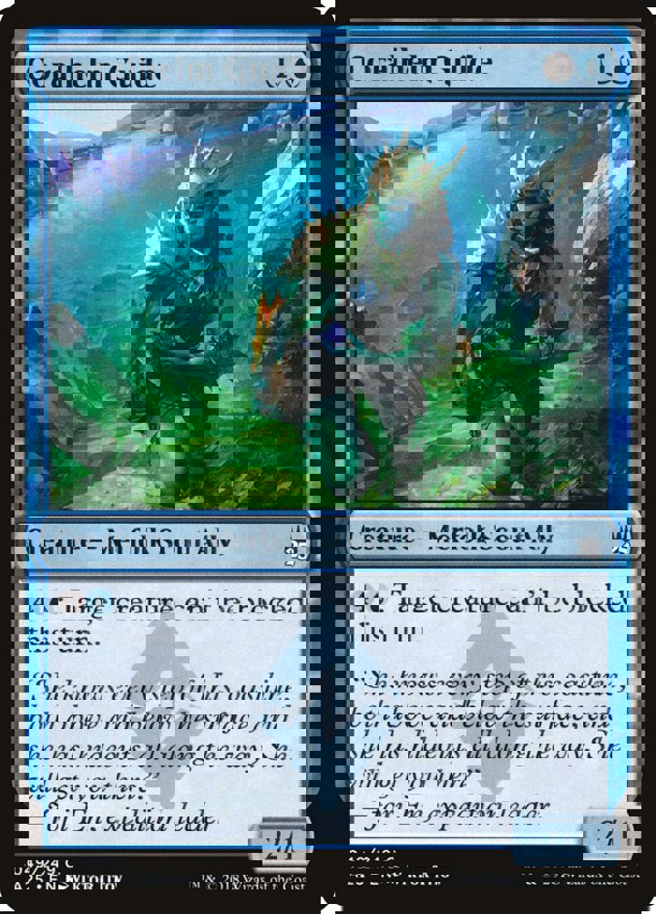 Coralhelm Guide