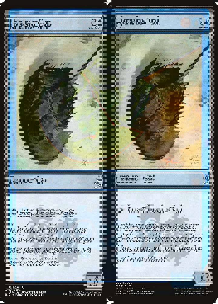 Horseshoe Crab