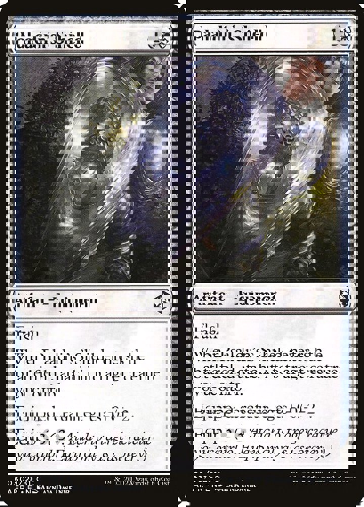 Paladin's Shield