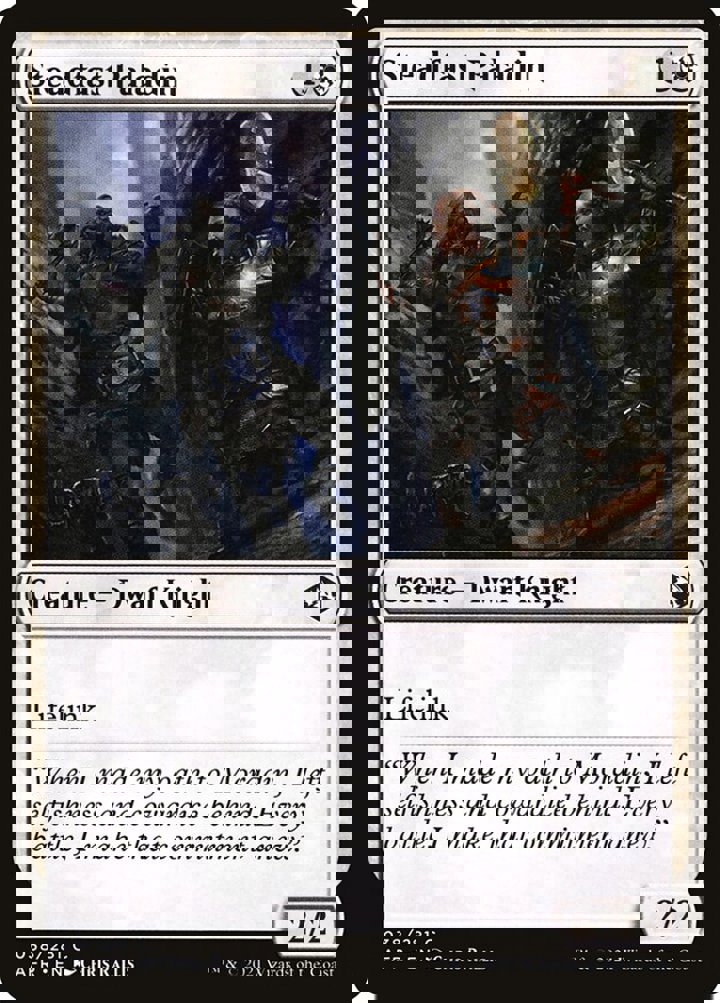 Steadfast Paladin