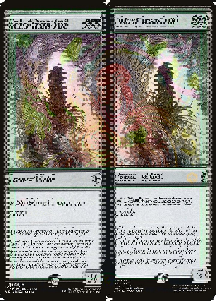 Circle of Dreams Druid