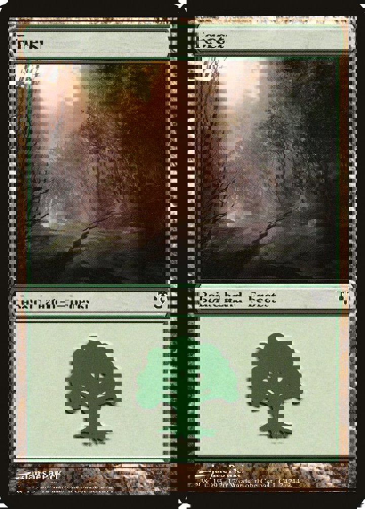 Forest (V.1)