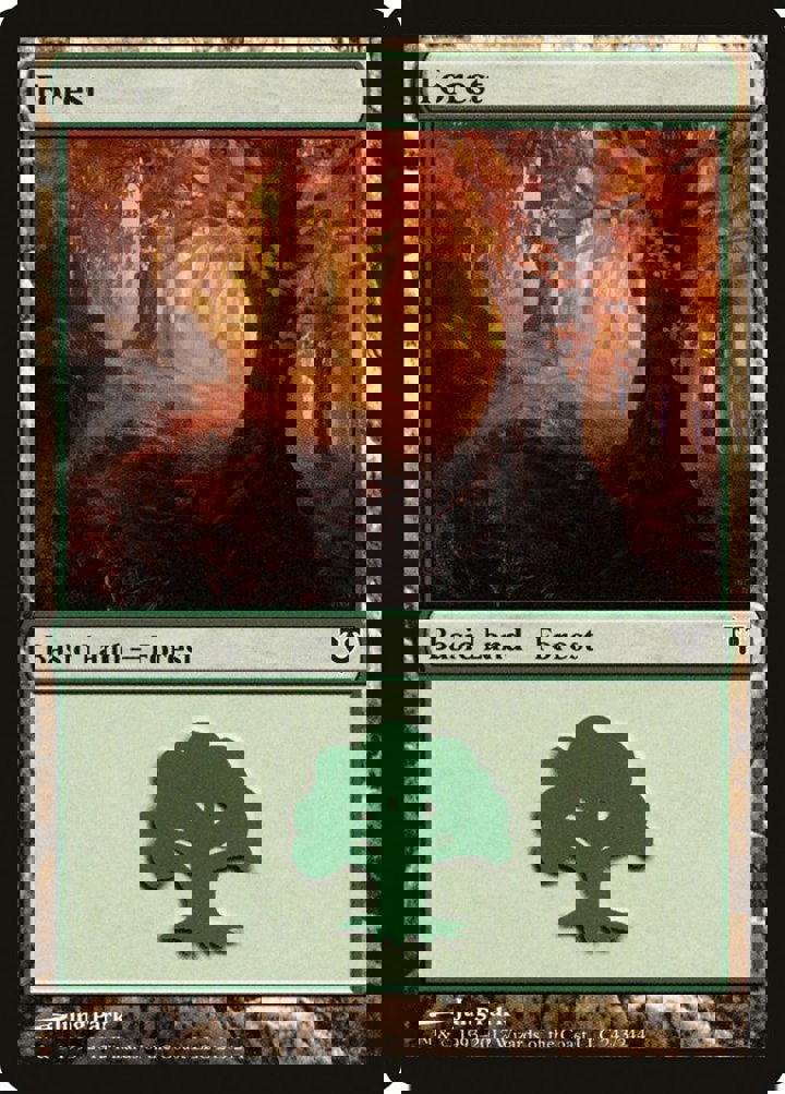 Forest (V.2)