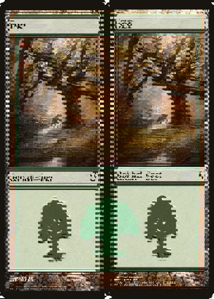 Forest (V.3)