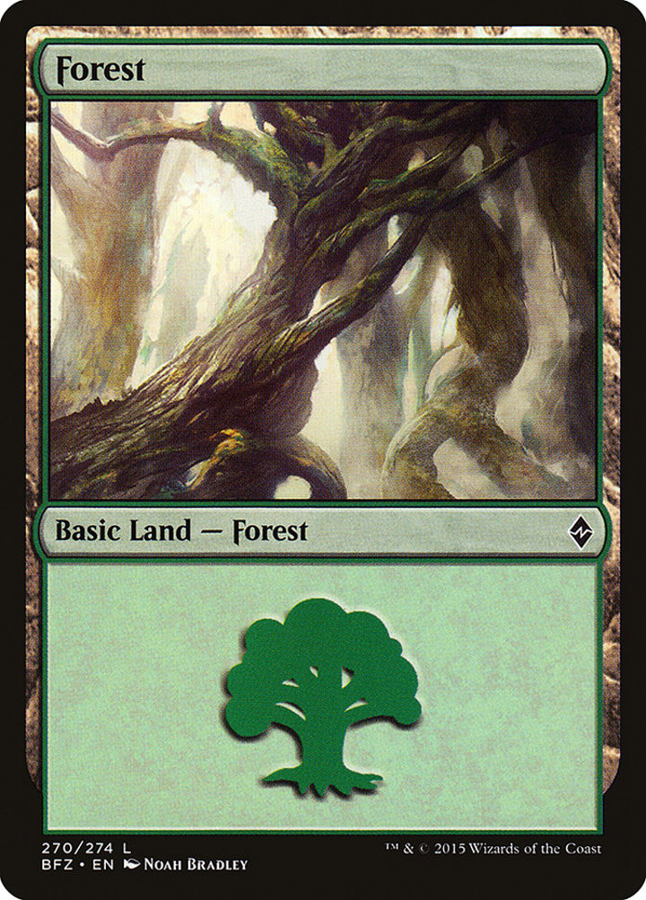 Forest (V.2)