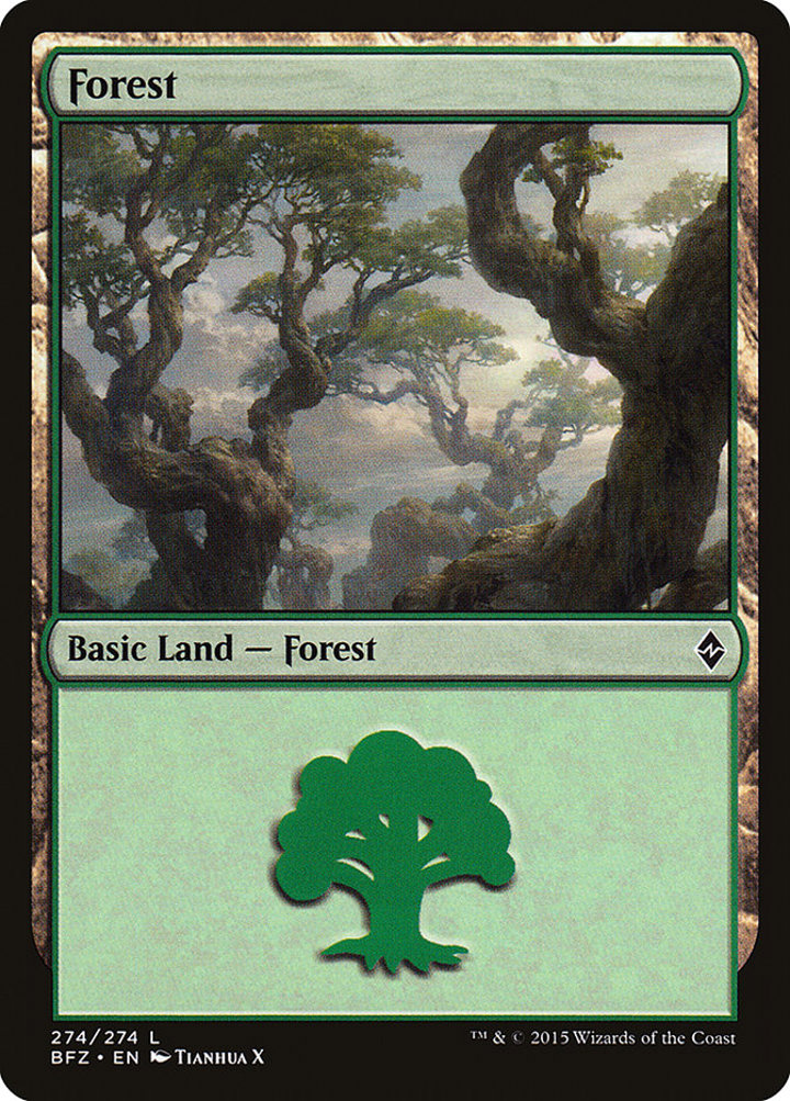 Forest (V.10)