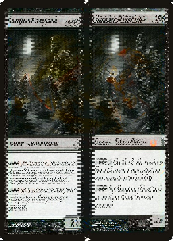 Champion of Stray Souls