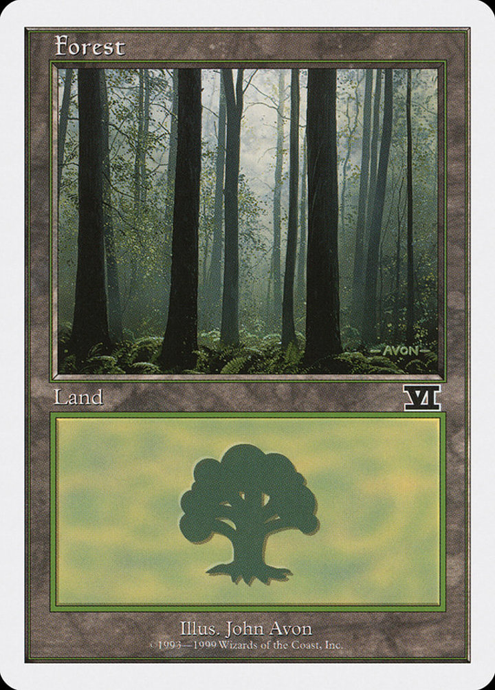 Forest (V.6)