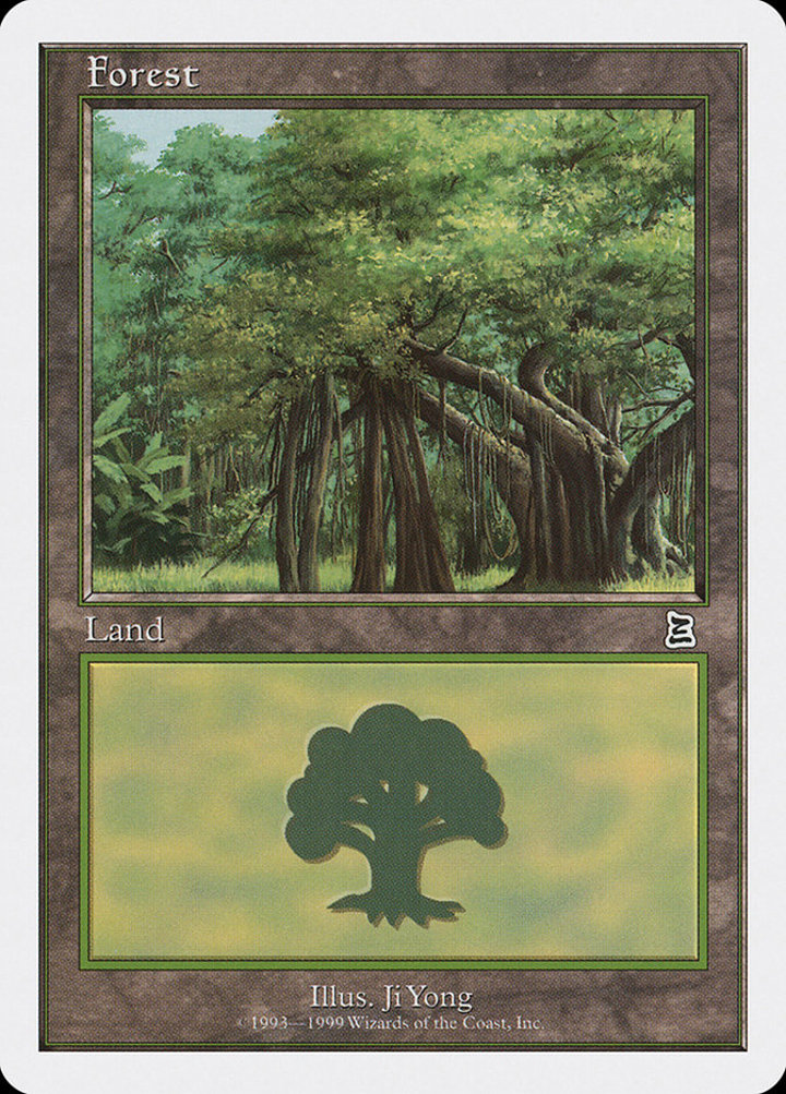 Forest (V.8)