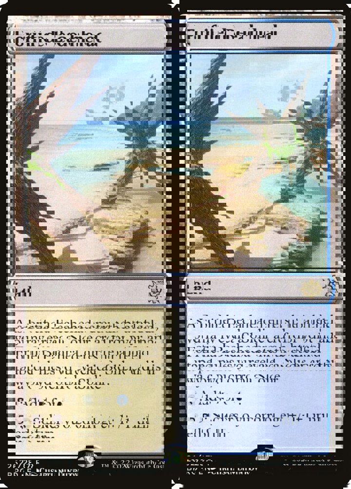 Fortified Beachhead