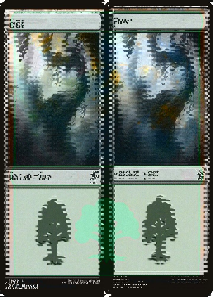 Forest (V.3)