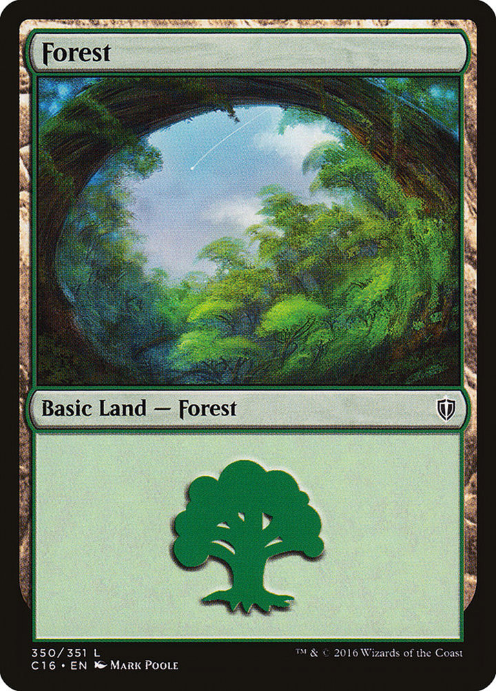 Forest (V.2)