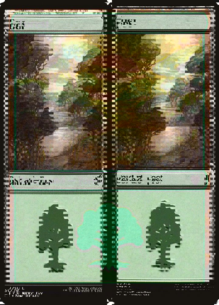 Forest (V.1)