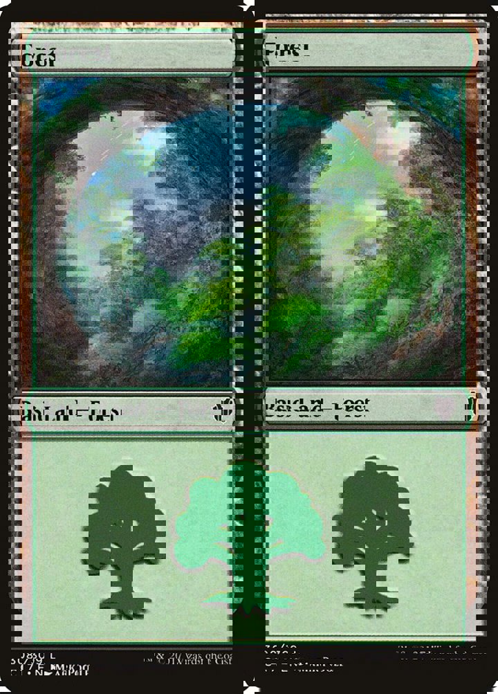 Forest (V.2)