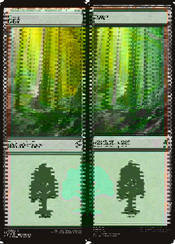 Forest (V.3)